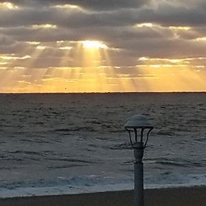 Meet your Posher, Octavia